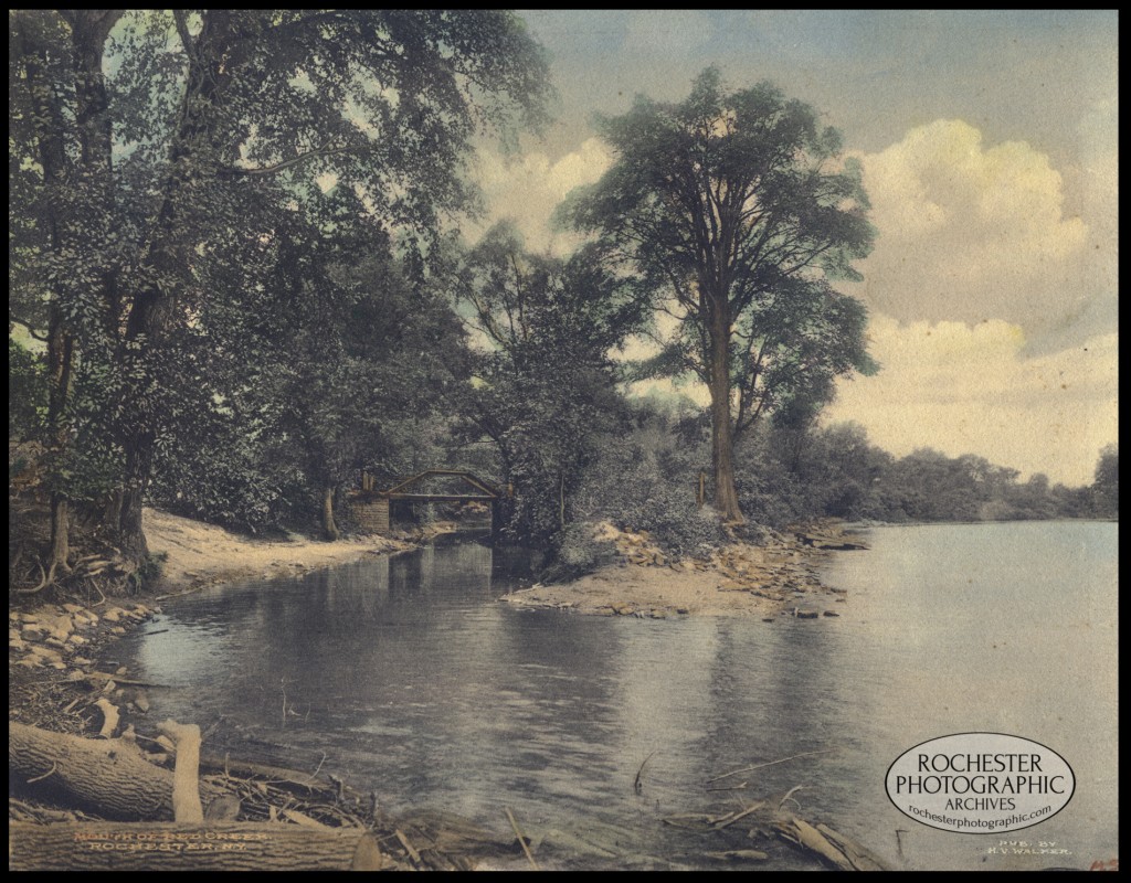 Mouth of Red Creek, c.1905