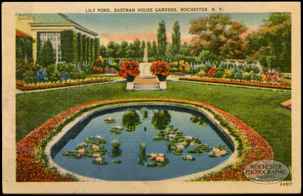 Lily Pond, Eastman House Gardens, c.1935